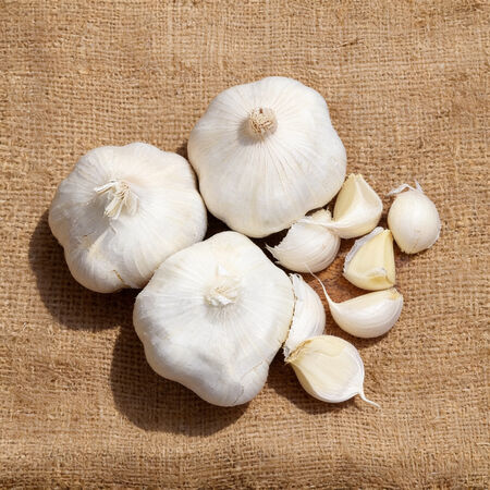 California Early, Garlic Seed - 1 Pound image number null